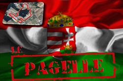 Diamo i voti al GP di Ungheria - Pagelle Gp Ungheria