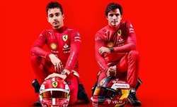 Alonso: «