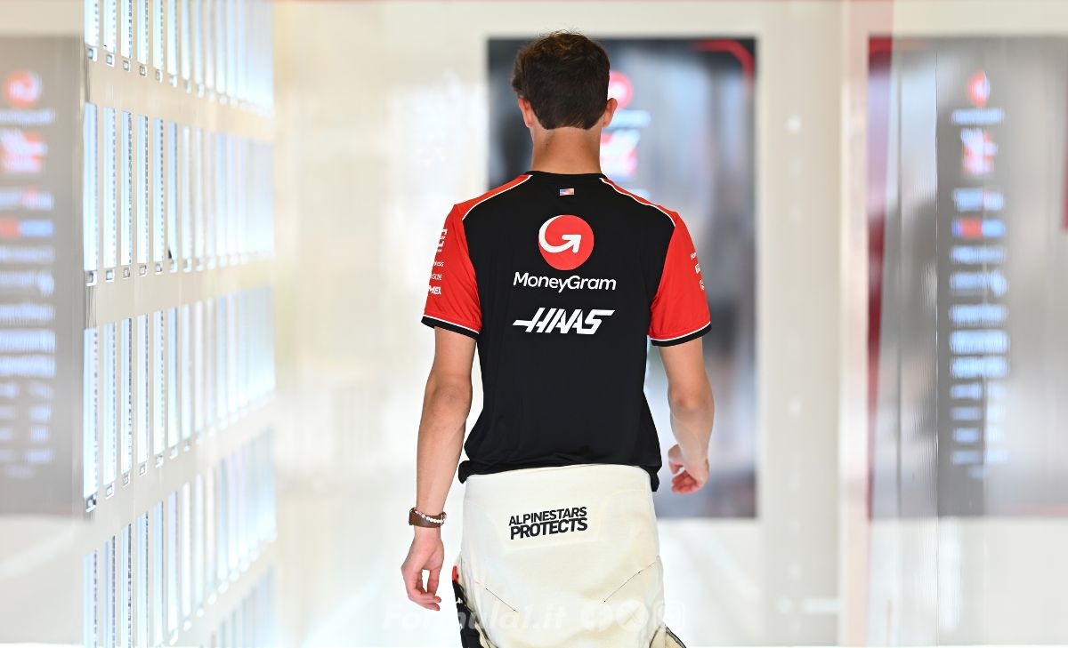 Bearman e Hamilton, una poltrona per due. Secondo Steiner la scelta è chiara