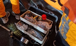 FOTO - Il curioso portafortuna della McLaren al GP del Qatar - FOTO - Il curioso portafortuna della McLaren al GP del Qatar