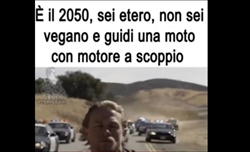 Valsecchi e il reel ironico: «È il 2050, sei etero, non sei vegano e...». Due le chiavi di lettura - FOTO - Valsecchi e il reel ironico