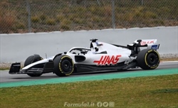 Gene Haas