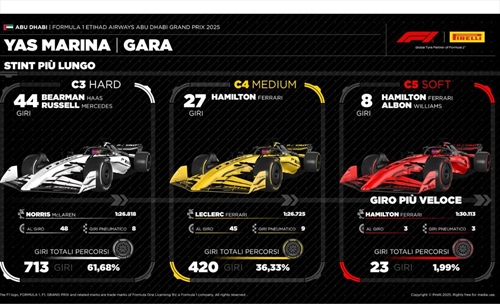 GP Abu Dhabi - Analisi strategie: McLaren trionfa col brivido. Che rischio con Piastri - GP Abu Dhabi - Analisi strategie: McLaren trionfa col brivido. Che rischio con Piastri