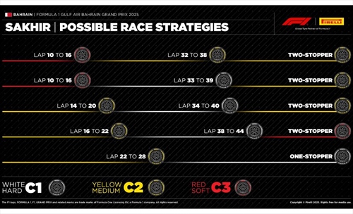 GP Bahrain - Possibili strategie: gara complessa a Sakhir, bisognerà ascoltare la pista - GP Bahrain - Possibili strategie: gara complessa a Sakhir, bisognerà ascoltare la pista