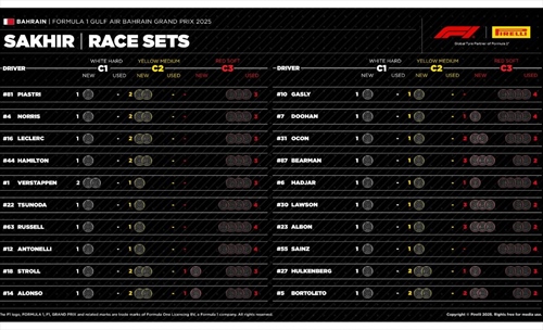 GP Bahrain - Possibili strategie: gara complessa a Sakhir, bisognerà ascoltare la pista - GP Bahrain - Possibili strategie: gara complessa a Sakhir, bisognerà ascoltare la pista