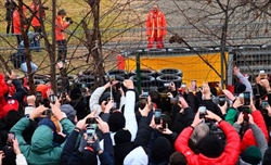 Hamilton-Ferrari, le reazioni dei tifosi: «Orgogliosi di vivere un momento storico»
