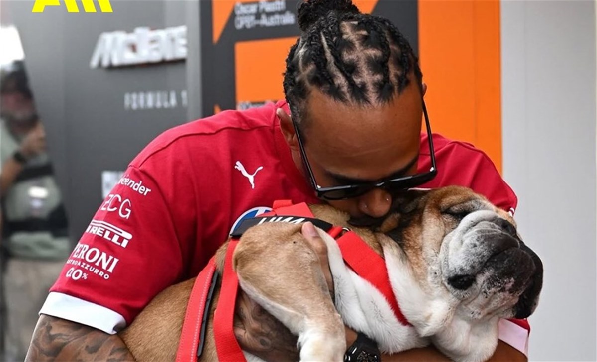 Hamilton, quanto affetto dopo la morte di Roscoe: i messaggi di team e piloti