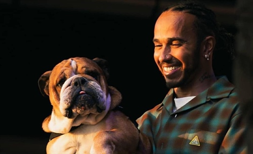 Hamilton sceglie Roscoe, ma sui social esplode l’odio: dov’è finita l’umanità?