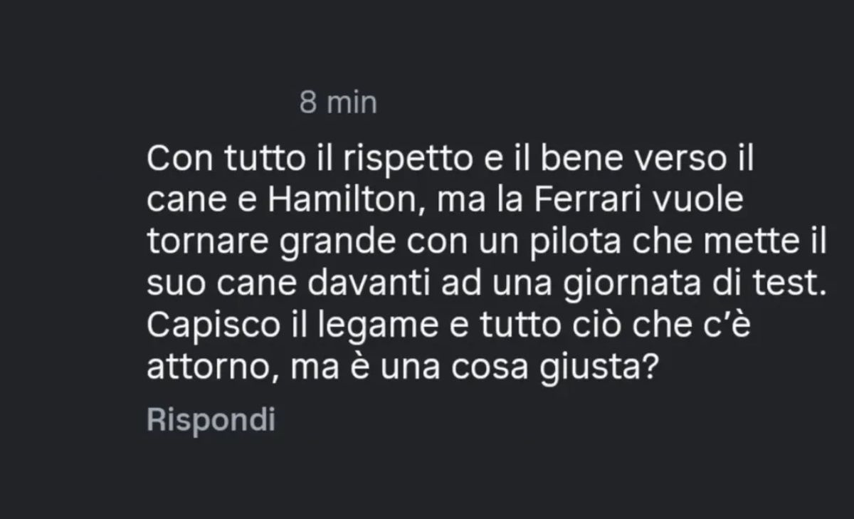 Hamilton sceglie Roscoe, ma sui social esplode l’odio: dov’è finita l’umanità?