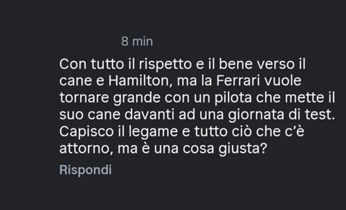 Hamilton sceglie Roscoe, ma sui social esplode l’odio: dov’è finita l’umanità? - Hamilton sceglie Roscoe, ma sui social esplode l’odio: dov’è finita l’umanità?