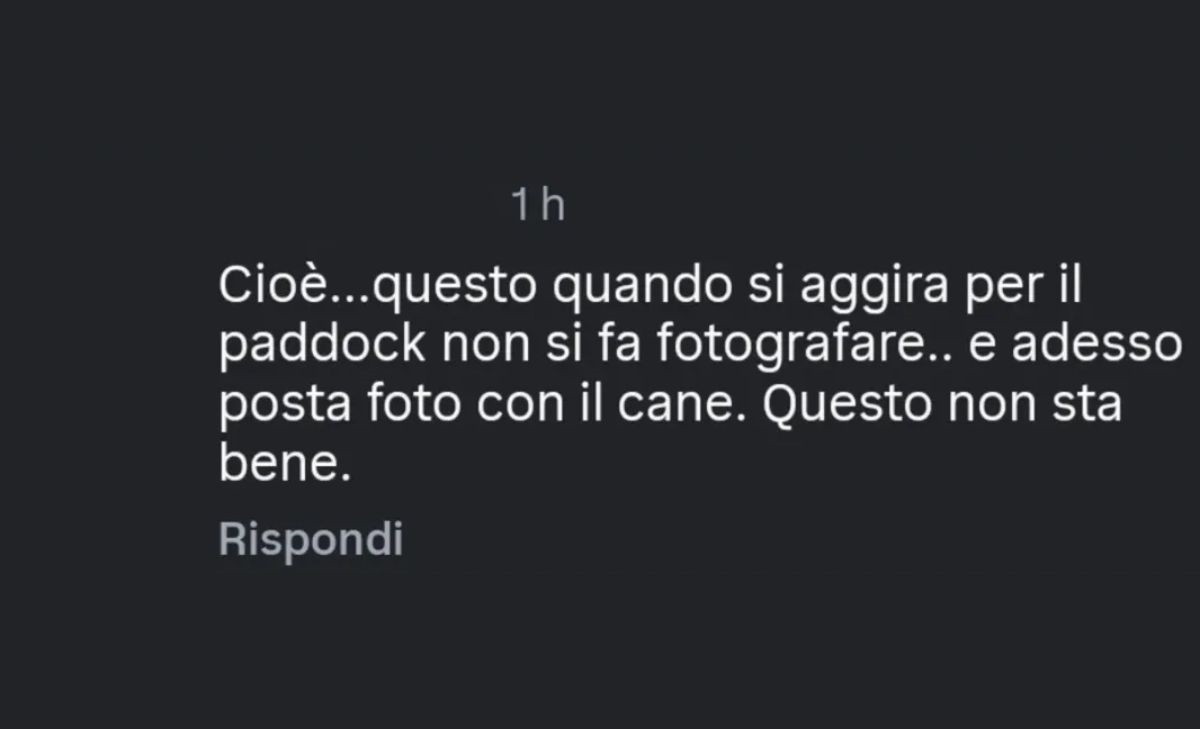 Hamilton sceglie Roscoe, ma sui social esplode l’odio: dov’è finita l’umanità?