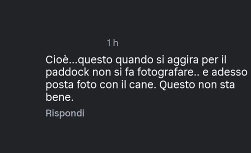 Hamilton sceglie Roscoe, ma sui social esplode l’odio: dov’è finita l’umanità? - Hamilton sceglie Roscoe, ma sui social esplode l’odio: dov’è finita l’umanità?