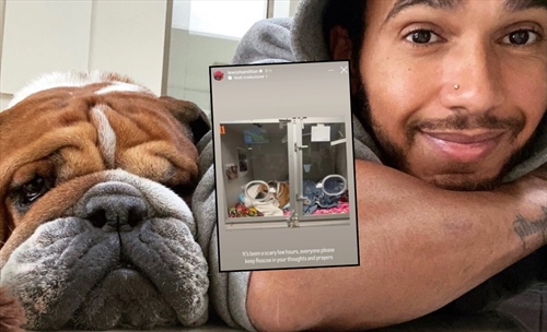 L’appello di Hamilton per il piccolo Roscoe: «Pregate per lui»