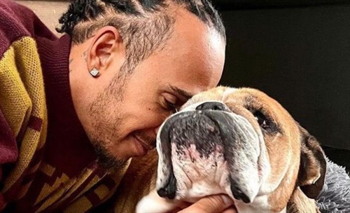 L'indiscrezione dalla Spagna: niente test Pirelli per Hamilton, la priorità è Roscoe