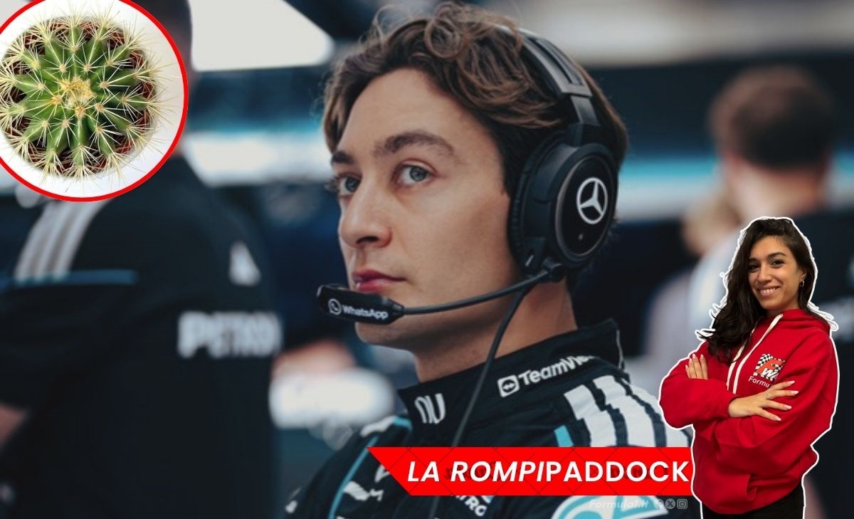 La rompipaddock - Ma quante spine velenose!