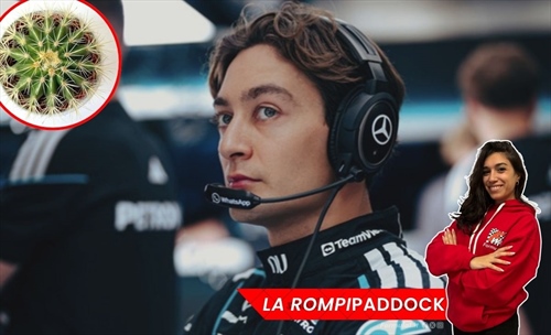 La rompipaddock - Ma quante spine velenose! - La rompipaddock - Ma quante spine velenose!