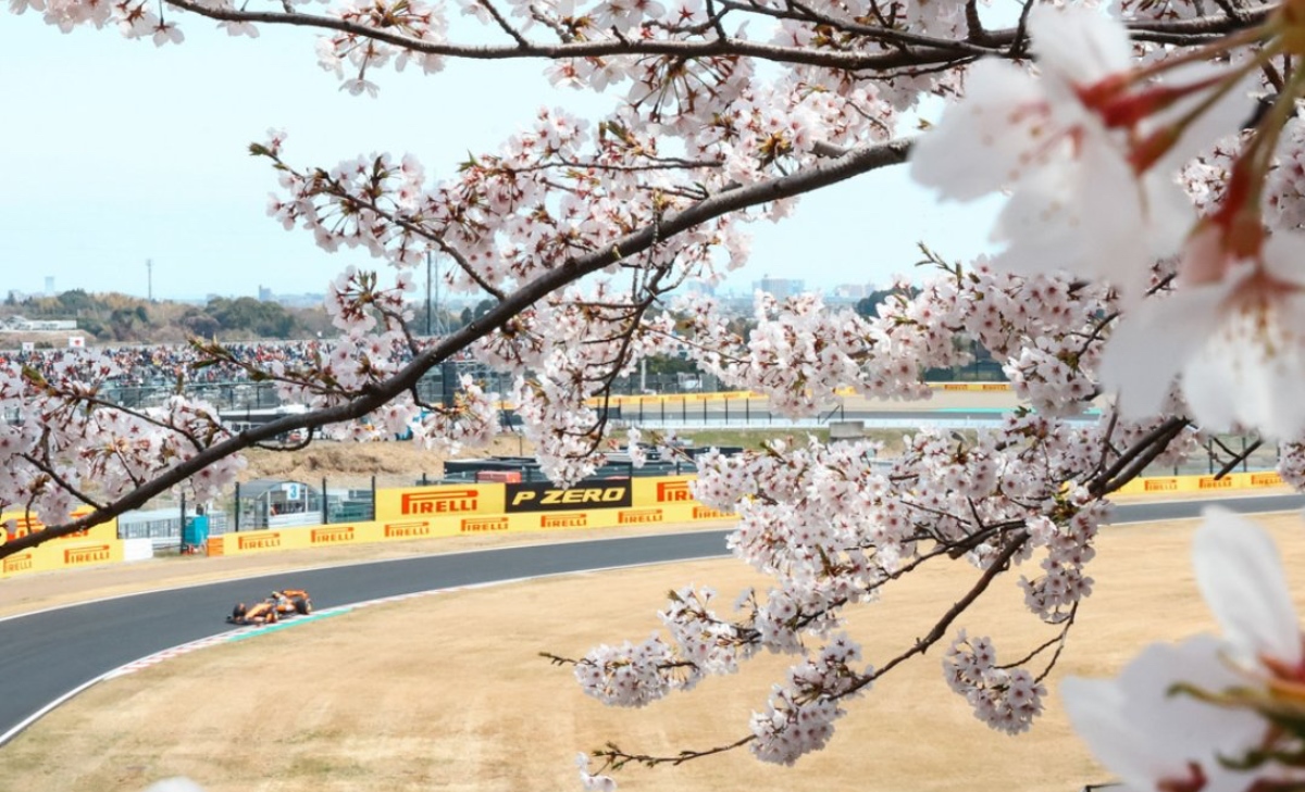 Norris sbotta: «Shanghai è stata una batosta, ma la McLaren vale molto di più»