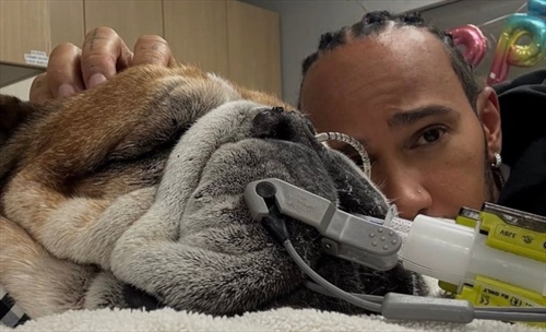 Peggiorano le condizioni di Roscoe. Lewis è al suo fianco