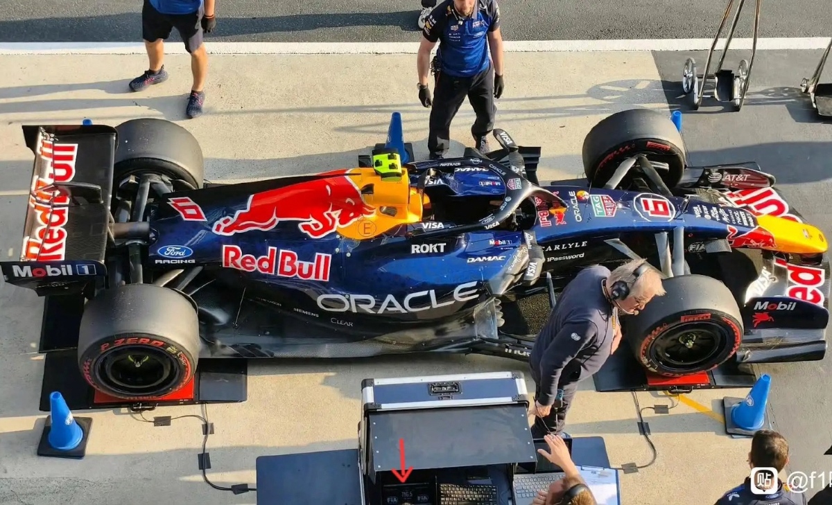 Red Bull, un «elefante» in pista