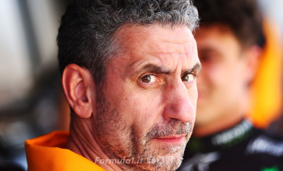 Stella sostiene Piastri: «Ha perso alcuni punti da Verstappen, ma ha imparato molto»