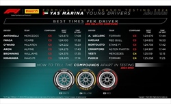 Test Abu Dhabi - Pirelli promuove la resistenza meccanica delle nuove mescole, perplessità sul surriscaldamento - Test Abu Dhabi - Pirelli promuove la resistenza meccanica delle nuove mescole, perplessità sul surriscaldamento