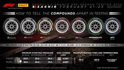 Test Bahrain 2024 - Pirelli, gli pneumatici scelti dai team per i tre giorni - Test Bahrain 2024 - Pirelli, svelati gli pneumatici scelti dai team per i tre giorni