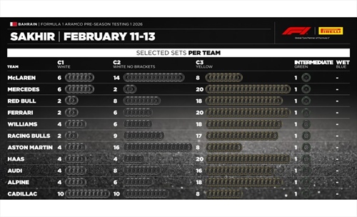 Test Bahrain: le morbide dovranno attendere, ancora gomme dure come a Barcellona - Test Bahrain: le morbide dovranno attendere, ancora gomme dure come a Barcellona