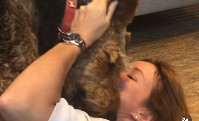 Triste giorno per Christian Horner, è morta la sua cagnolina Margo