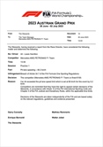 UFFICIALE - GP Austria: sanzionati Hamilton, Alonso e Stroll. Il motivo - UFFICIALE - GP Austria, sanzionato Lewis Hamilton: il motivo